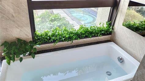 浴室綠化 手機九宮風水2023